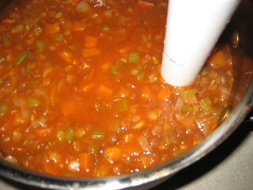 10-12-12-12 (sprouted) lentil soup