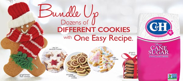 1001 cookie starter mix