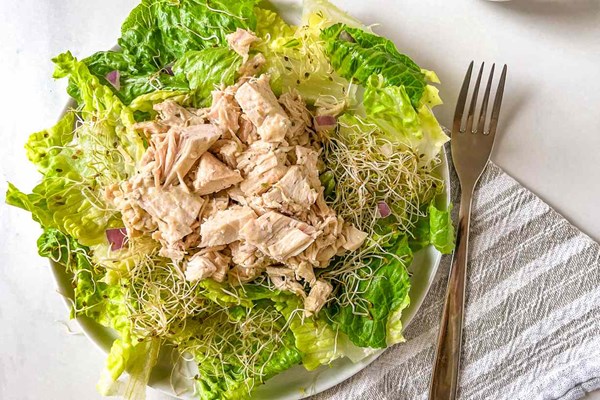 2-ingredient chicken salad 