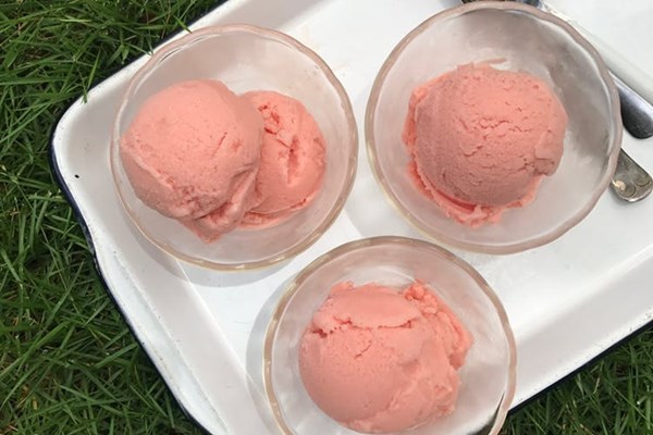 2-ingredient watermelon sherbet