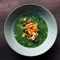 A clear, hot mussel soup