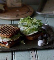 A darn good sandwich