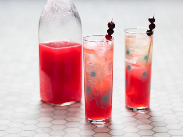 A Minnesota good-bye (Cranberry French 75)
