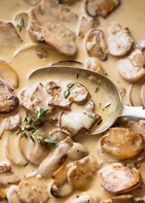 A mushroom sauce for everything