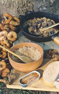A Roman dish