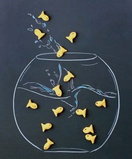 A school of gluten-free fish crackers