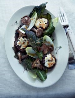 A winter "salade de chèvre chaud" with boudin noir