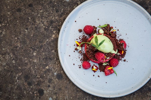  Aerated raspberry mousse with herb sorbet and cocoa