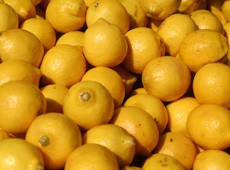 After-dinner lemon freeze