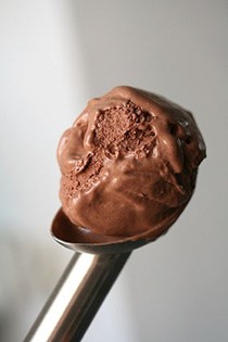 Agave-sweetened chocolate ice cream recipe