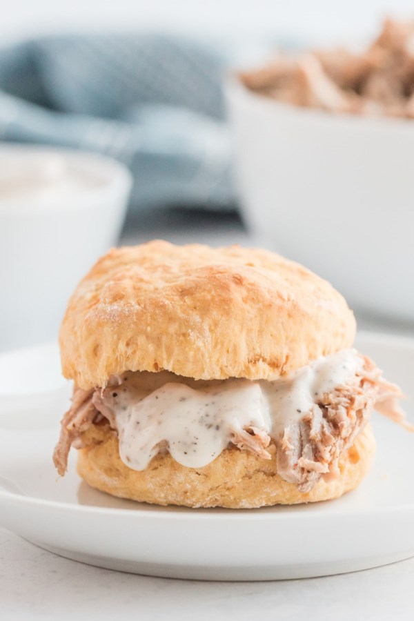 Alabama pulled pork sandwiches with white barbecue sauce