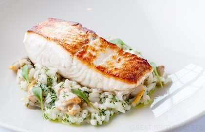 Alaska halibut with cockle risotto