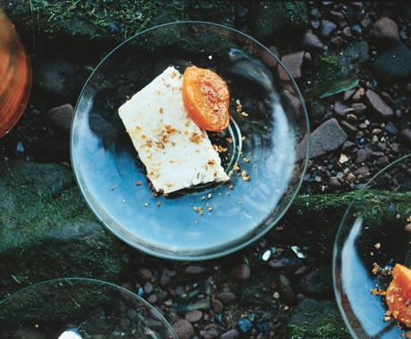 Almond praline semifreddo with grappa-poached apricots