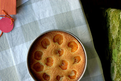Almond torte with sugared apricots