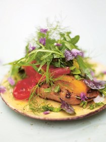 Amazing herb salad on a tomato bruschetta