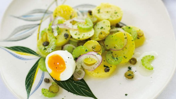 American potato salad