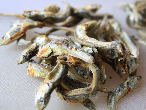 Anchovy stock