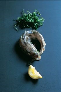 'Angry' whiting (Merlan de pêche en colère)