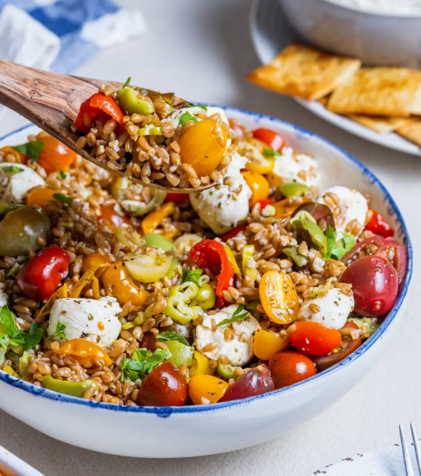 Antipasto grain salad