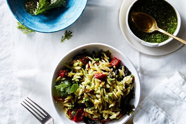 Antipasto orzo pasta salad