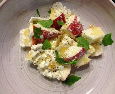 Apple, burrata, sorrel, honey