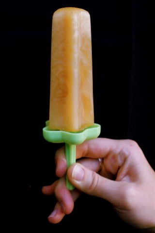 Apple cider and rosemary ice pops