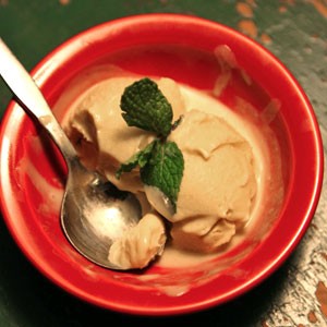 Apple cider-cinnamon ice cream 