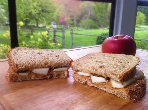 Apple peanut butter sandwich