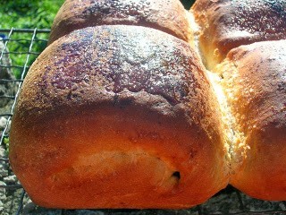 Apple, raisin and white chocolate buns (Liskeardy cakes)