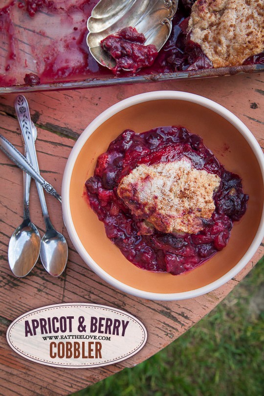 Apricot & berry cobbler