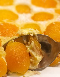 Apricot brioche tart
