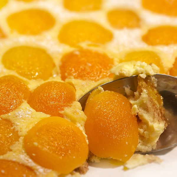 Apricot brioche tart
