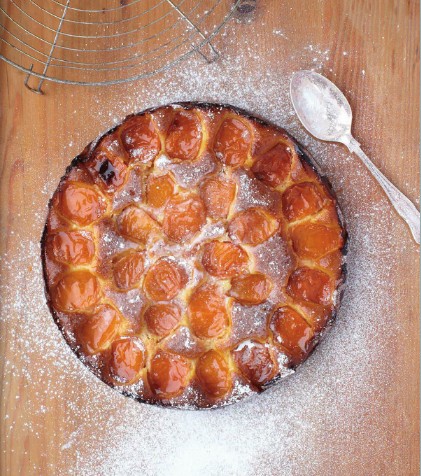 Apricot cake
