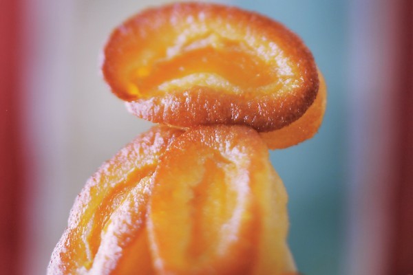 Apricot financiers