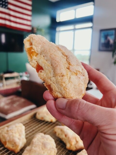 Apricot ginger scones 