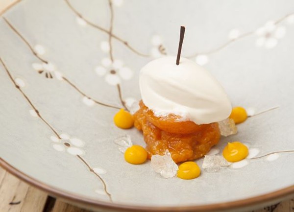 Apricot ice cream, compote and purée
