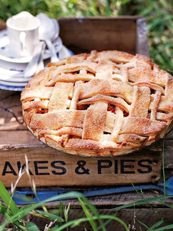 Apricot lattice pie
