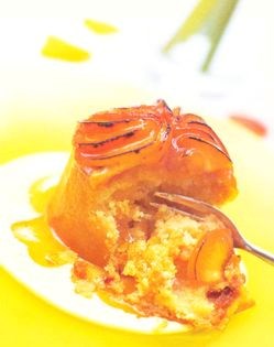 Apricot pies or pie