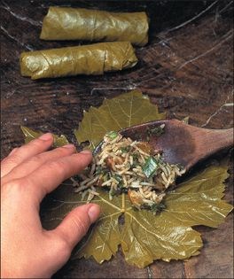 Armenian bulgur & pomegranate stuffed grapevine leaves