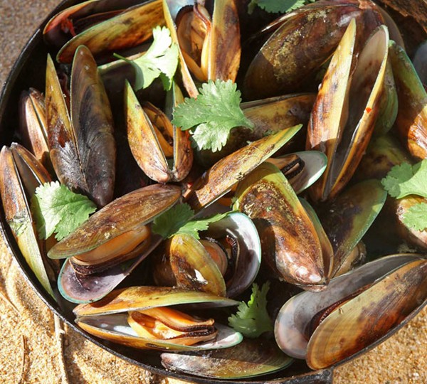 Aromatic steamed mussels