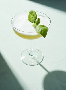 Art basil