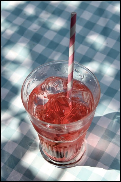Artisanal soda (with rosemary, bay and hibiscus syrup)