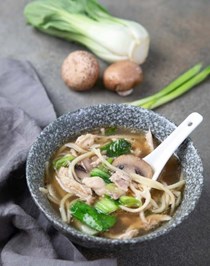 Asian chicken noodle soup