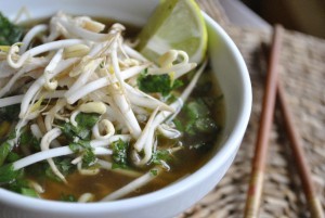 Asian chicken noodle soup