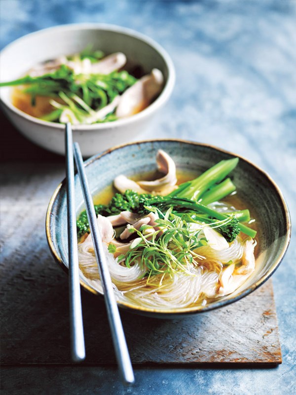 Asian-style chicken noodle soup