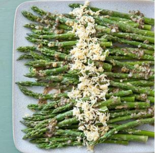 Asparagus mimosa