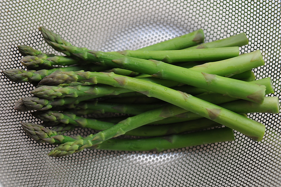 Asparagus mimosa