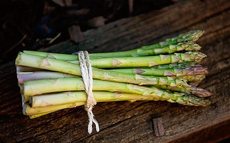 Asparagus with English goat's cheese and warm butter dressing