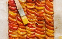Austrian apricot slice