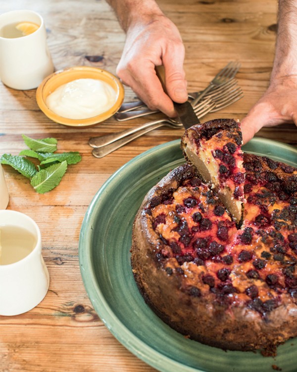 Autumn duet cheesecake